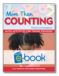 More Than Counting (e-book)