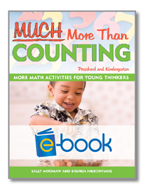 Much More Than Counting (e-book)