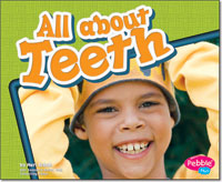 All About Teeth