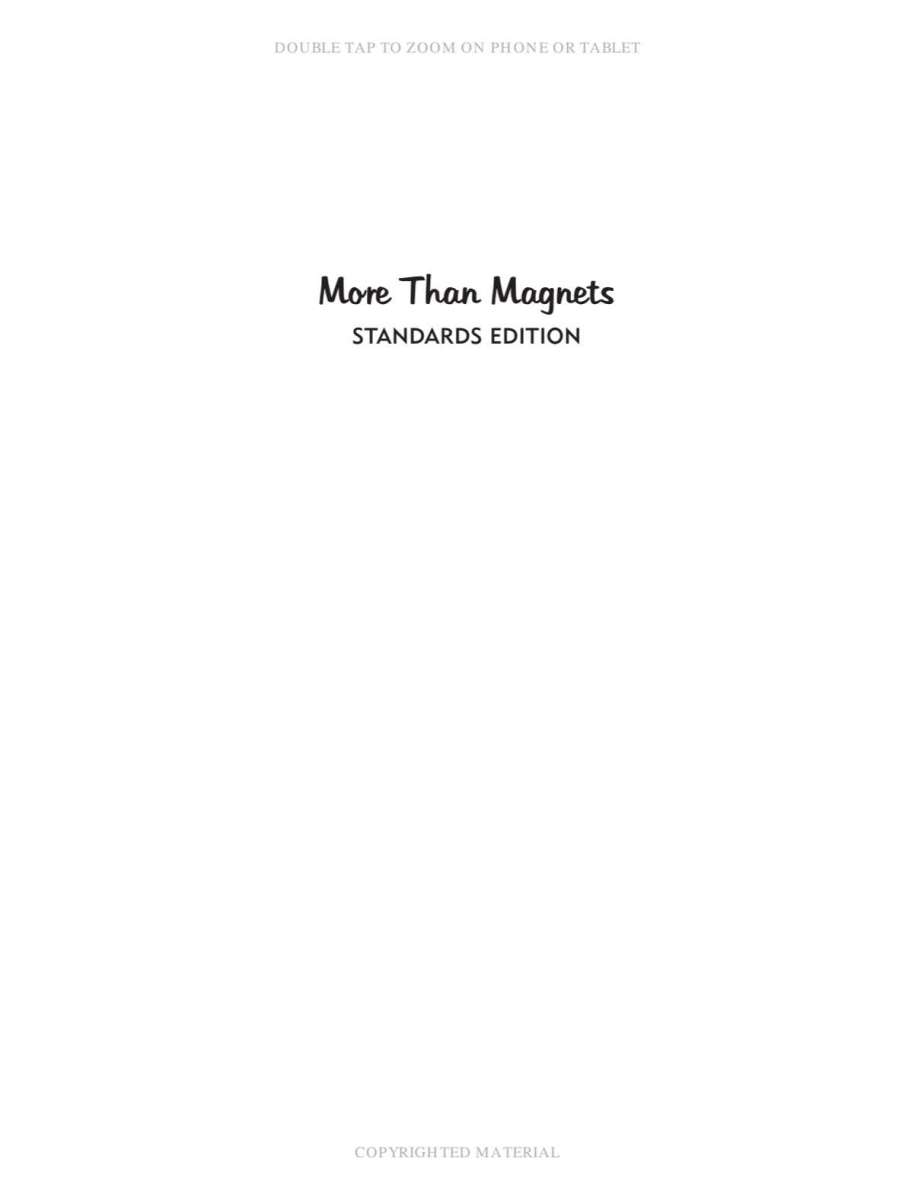 More Than Magnets Standards Edition
