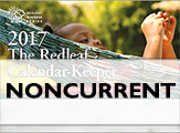 Redleaf Calendar-Keeper 2017: A Record-Keeping System for Family Child Care Providers