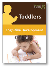 Toddlers: Cognitive Development DVD