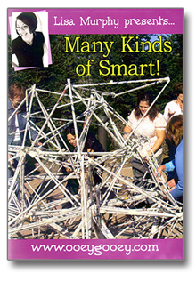 Many Kinds of Smart! DVD