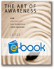 Art of Awareness, 2nd Edition (e-book)
