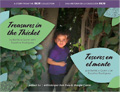 Treasures in the Thicket