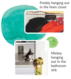 Rae Pica's cats Freddy and Mickey