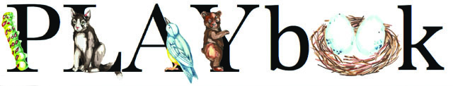 PLAYBook Logo